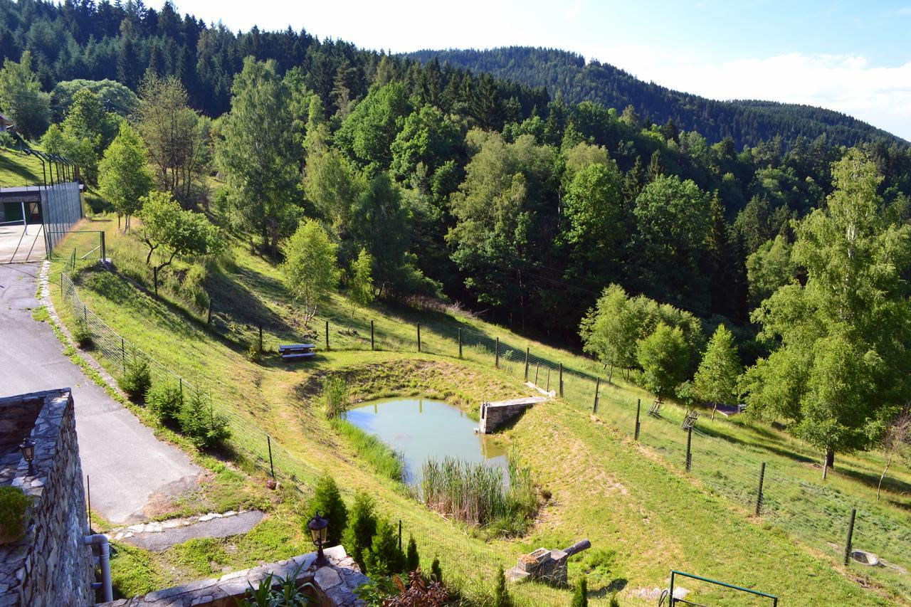 Hotel Studenec Rožmberk nad Vltavou Exterior foto